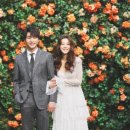 스튜디오아리와 이미지