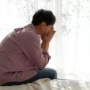 힙독 애견카페 이미지