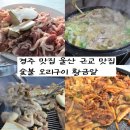 황금들 | 경주 현지인 추천 오리고기 맛집 황금알 방문 후기