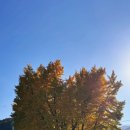 내서초등학교 이미지