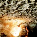 세례농장 이미지