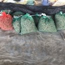 종근축산 이미지