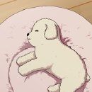 이양약국 이미지