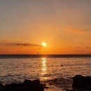 상창복지회관4가 2 | #8 제주야, 우리를 좀 보드마줍서.