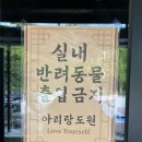 [용인 맛집] 경기도 용인 SNS 핫 플 대형 카페 아리랑 도원 내돈내산 후기