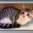 몽글몽글 이미지