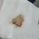 개금동물병원 이미지