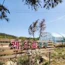 무궁화농장 | [광명] 초6 초4 초등학생 어린이 체험 농장 게으른농부 재방문 후기