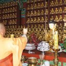 옴천사 아미타불 이미지