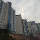 활명당약국 네이버블로그