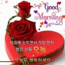 행복한하루 이미지