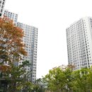 중흥시장 이미지