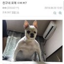 따거 이미지