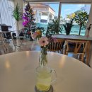 강진9호 이미지