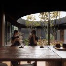 스테이단감 이미지