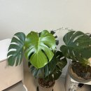 태동농장 이미지