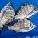 월항민박 이미지