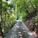 신선왕선 이미지