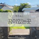 꿈이 있는 곳 | [제주도숙소] 제주 김녕 세기알해변/김녕해수욕장 근처 민박집 꿈이있는곳