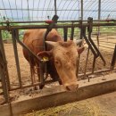 기운농장 이미지