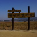사랑나무유통 - 화순군 | 사랑나무유통