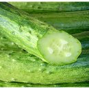 승우농장 이미지