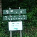 비비큐강원
