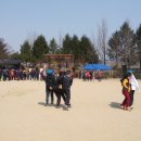 응봉초등학교 이미지