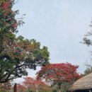 올레관광호텔 이미지