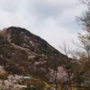 헤어풍경 네이버블로그