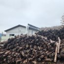 용문첨성대불한증막 이미지