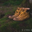 고이비토광주 - 서구 상무중앙로 10 | 고이비토광주