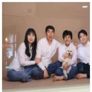 숲속의아침 이미지