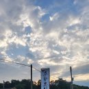 수향오리 이미지