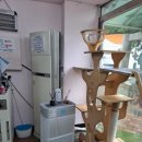 예뻐지냥 이미지