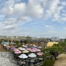 왕송황토보리밥 이미지