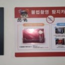성안국제물류