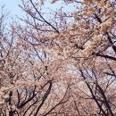 낙동강변 이미지