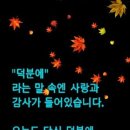 자갈치 이미지