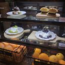 Cafe 오늘