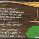 답내2리 네이버블로그