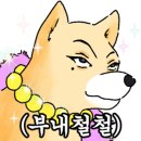 봄날라탄