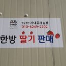 서마농장 Daum카페