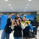 도원결의태권도 이미지