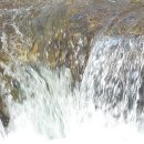 향기민박 이미지