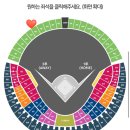 248 | 잠실 야구장 ‘엘지 VS 롯데’ 경기 직관 후기 - 3루 외야 그린석 416블록 15열 248번, 249번 시야