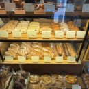 우니카트 이미지