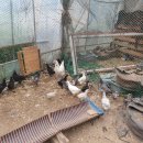 귀소농장 이미지