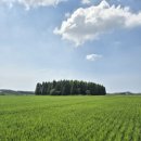 무녀가옥 이미지