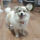 진산대로 이미지